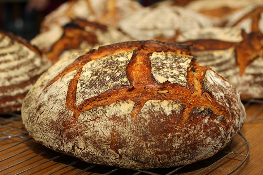 Brotbackkurs | Brot | Lutz Geißler | Schelli | plötzblog | Brotbackbuch | Sauerteig
