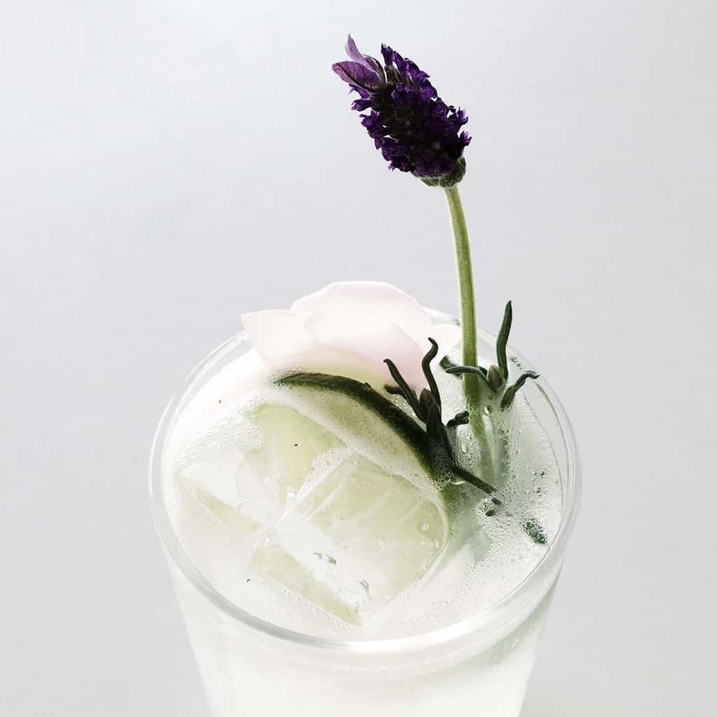 Gin Fizz mit Lavendel, ein sommerlich frischer Aperitiv