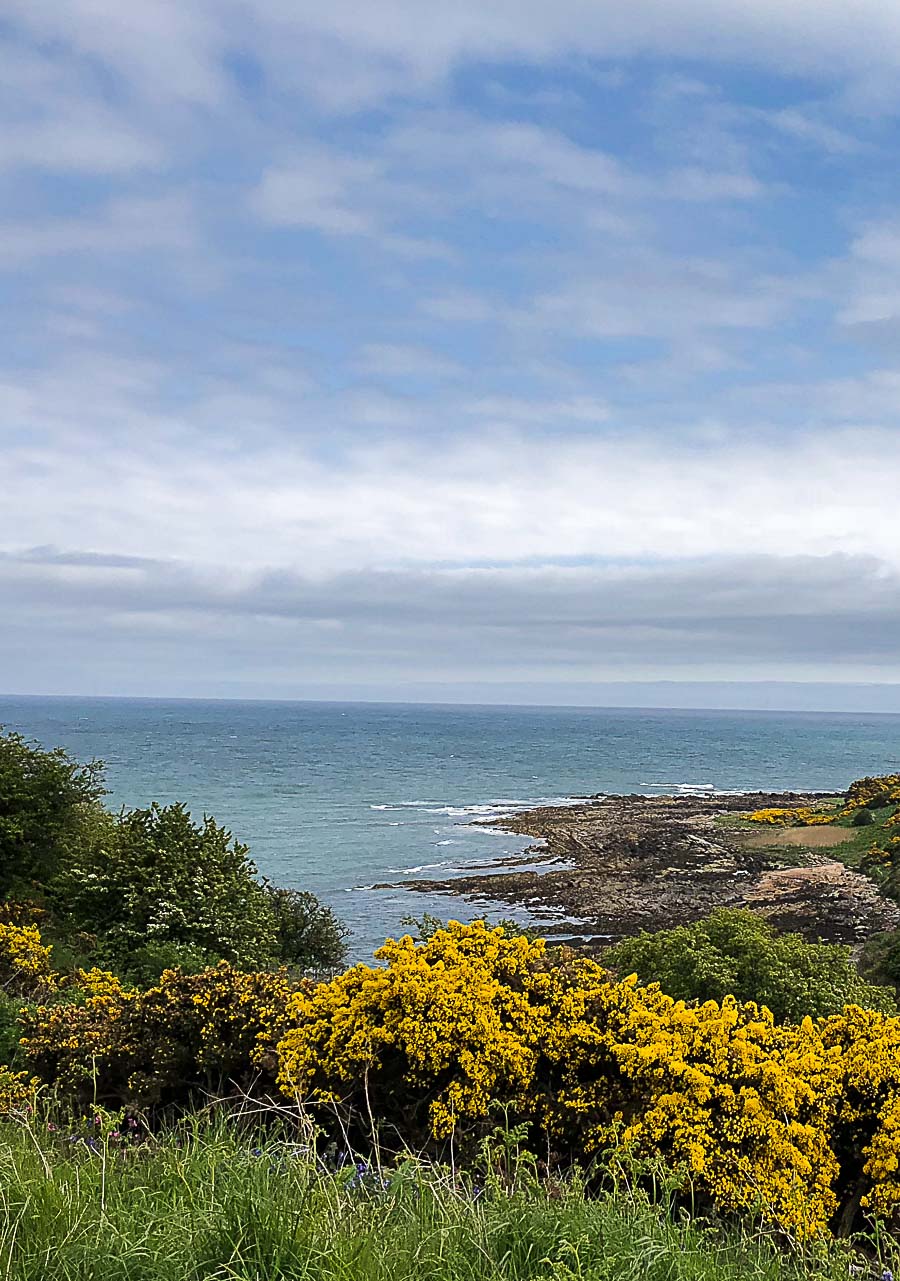 The Kittocks Golf Course | st. Andrews | SOAP|KITCHEN|STYLE